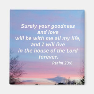 Psalm23:6 Magnet