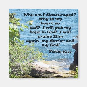 Psalm42:11 Magnet