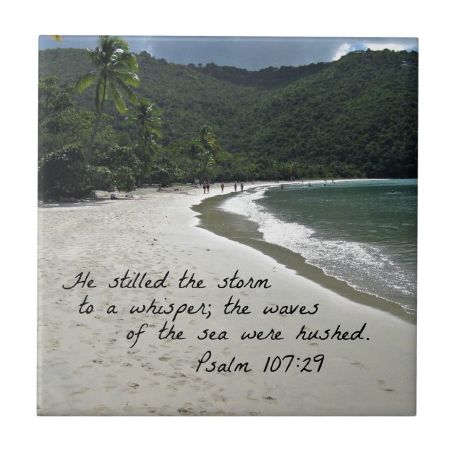 Psalm 107:29 Han dödade stormen... Kakelplatta (Framsidan)