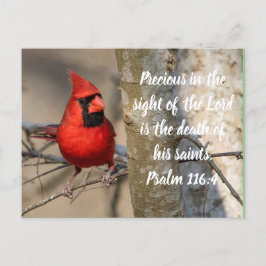 Psalm 116:15 för kardinalkort vykort
