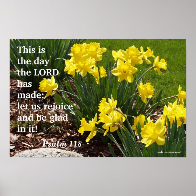 Psalm 118 Daffodil Poster (Framsidan)