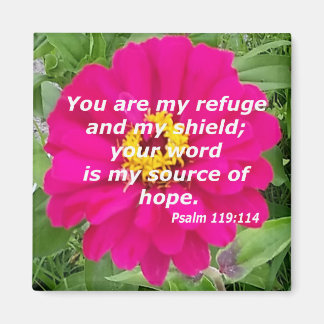 Psalm 119:114 magnet