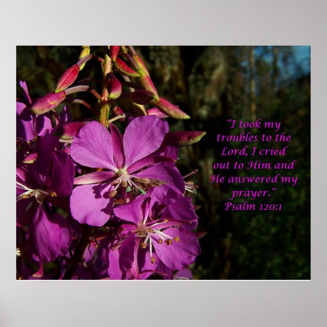 Psalm 120:1 Psalm of Encouragement Flower Poster (Framsidan)