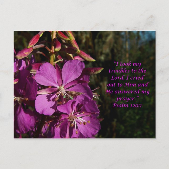 Psalm 120:1 Psalm of Encouragement Postcard Vykort (Framsida)