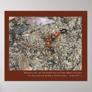 Psalm 128: 1, 2 Poster skript