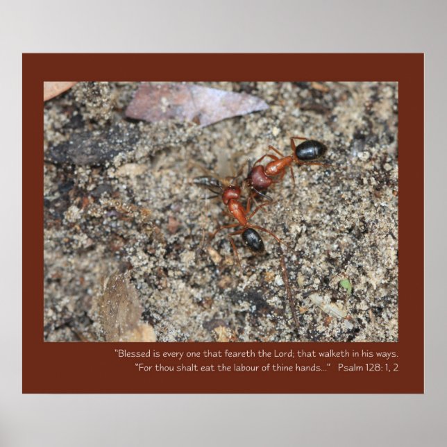 Psalm 128: 1, 2 Poster skript (Framsidan)