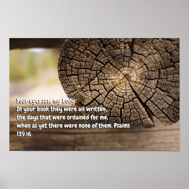 Psalm 139:16 poster (Framsidan)