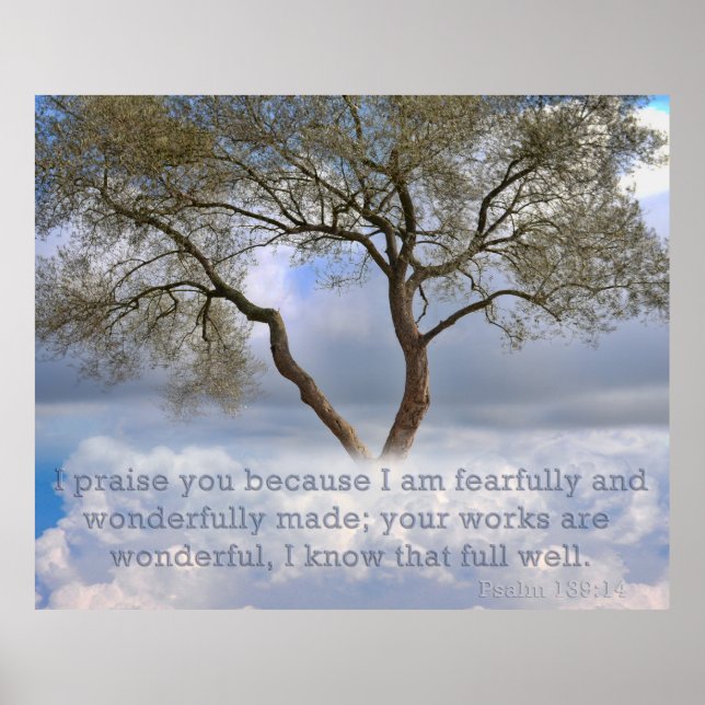 Psalm 139: Jag är rädd och underbart skapat Poster (Framsidan)