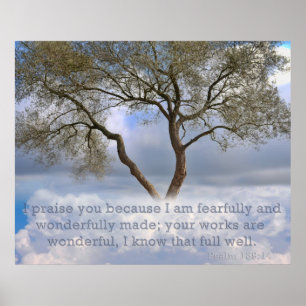 Psalm 139: Mig förmiddag fearfully och wonderfully Poster