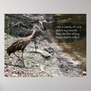 Psalm 141:3 Poster skript