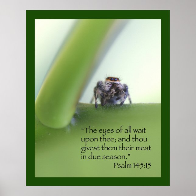 Psalm 145:15 Poster skript (Framsidan)