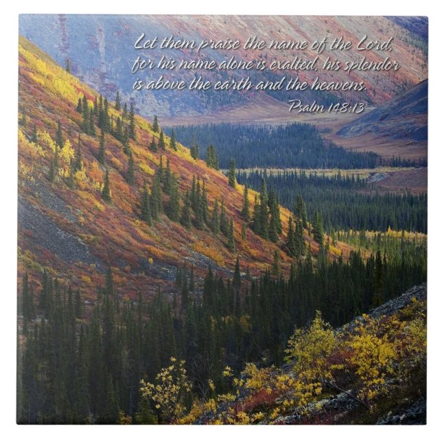 Psalm 148:13 Plattor Kakelplatta (Framsidan)