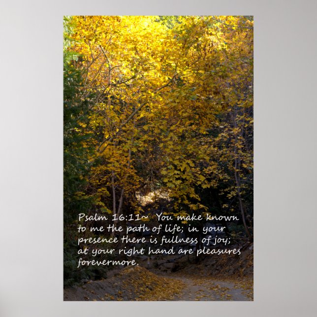 Psalm 16:11 path poster (Framsidan)