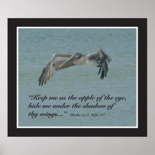 Psalm 17:8 Skriptutskrift Poster