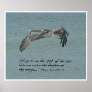 Psalm 17:8 Skriptutskrift, version B Poster