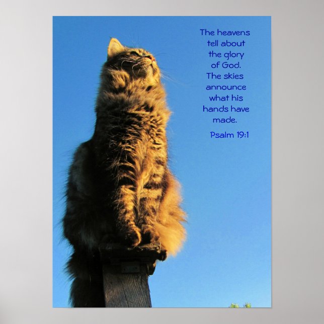Psalm 19:1 Angel Kattkött Poster (Framsidan)
