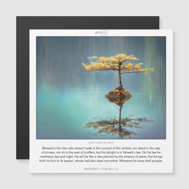 Psalm 1:1-3-SKRIPIX-magnetkort Magnetisk Inbjudningskort (Fram/baksida)