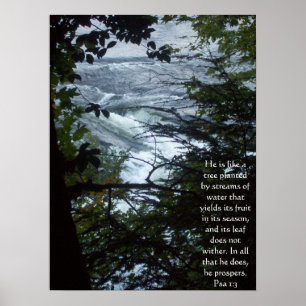 Psalm 1:3 poster