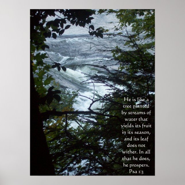 Psalm 1:3 poster (Framsidan)