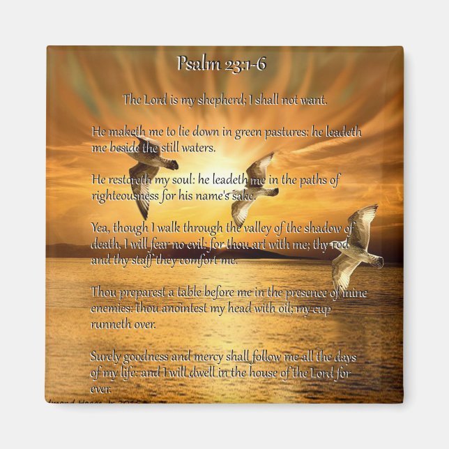 Psalm 23:1-6 Herren är min Shepard Magnet (Framsidan)
