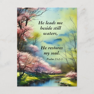 Psalm 23:2-3 Han återställer min själ Bible Verse Vykort