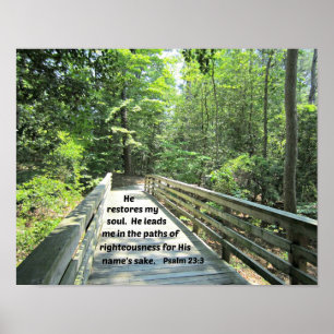 Psalm 23:3 Han återställer min själ, han leder mig Poster