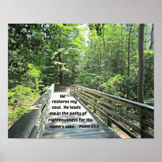 Psalm 23:3 Han återställer min själ, han leder mig Poster (Framsidan)