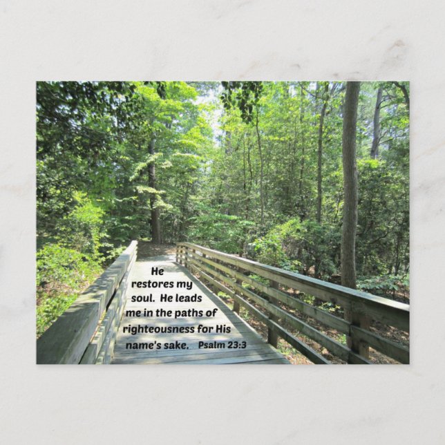 Psalm 23:3 Han återställer min själ, han leder mig Vykort (Framsida)
