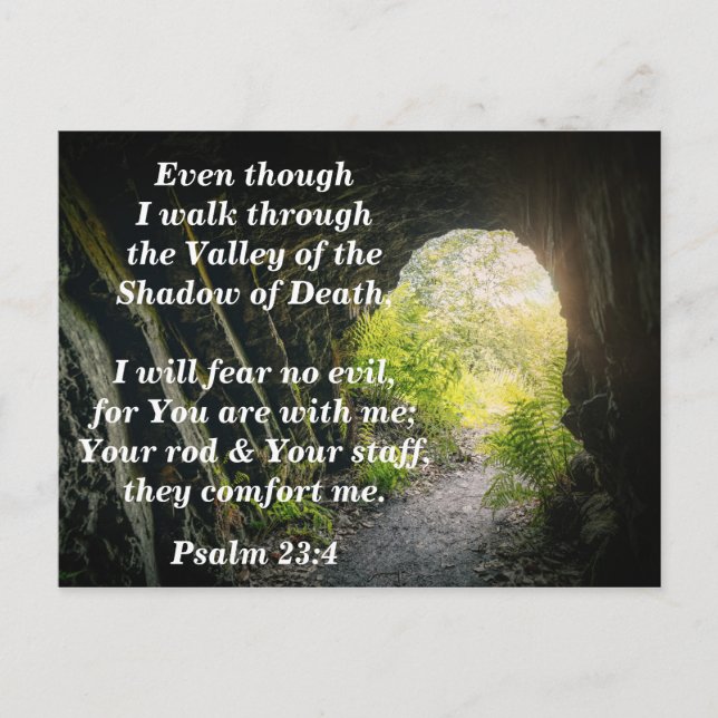 Psalm 23:4 Jag skall ej vara rädd för något ont Bi Vykort (Framsida)