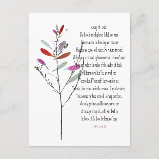 Psalm 23, Grönt Plant Blommigt Postcard of David Helg Vykort (Framsida)