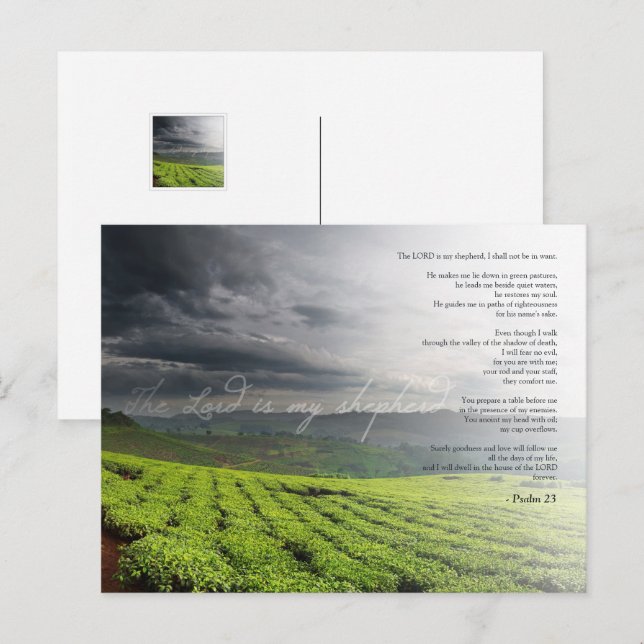 Psalm 23  Herren är min herde - Bibeln Vykort (Fram/baksida)