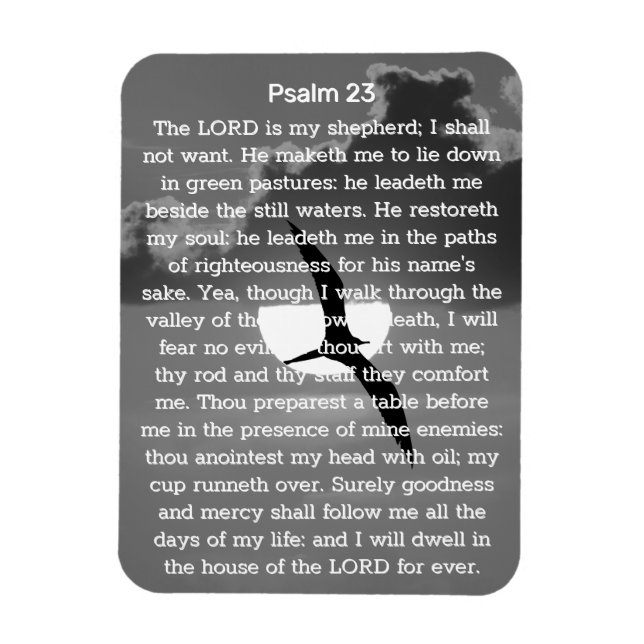 Psalm 23 Monokrom solnedgång mås Magnet (Vertikal)