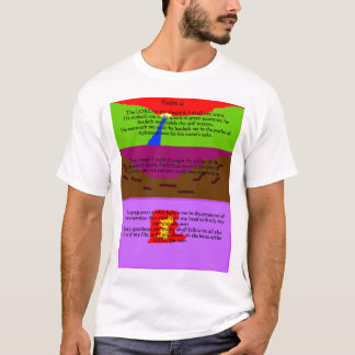 Psalm 23 tee shirt