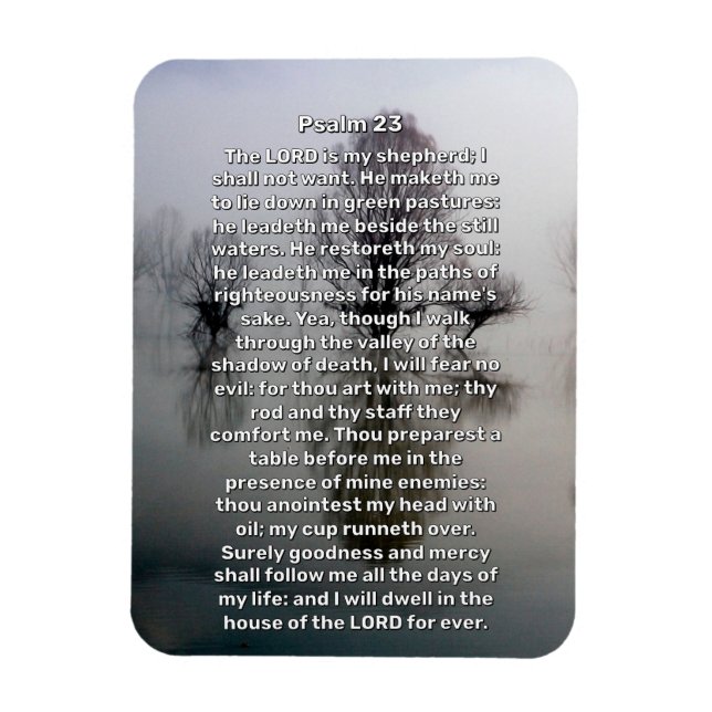 Psalm 23 Upplyst Sjö-Religiösa Magnet (Vertikal)