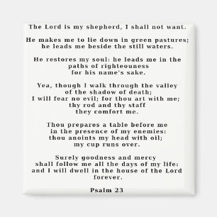 Psalm 23 vita magnet