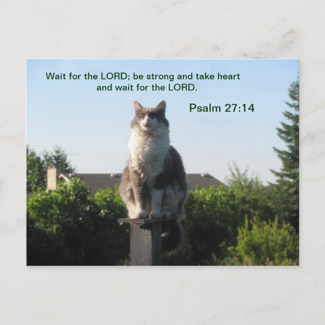Psalm 27:14 och korsad katt vykort (Framsida)