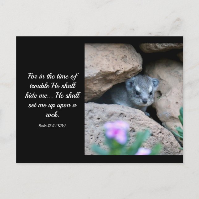 Psalm 27:5 (KJV) Vykort (Framsida)