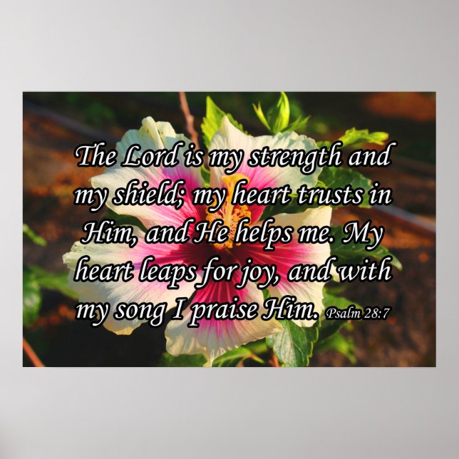 Psalm 28:7, Hibiscus Poster (Framsidan)