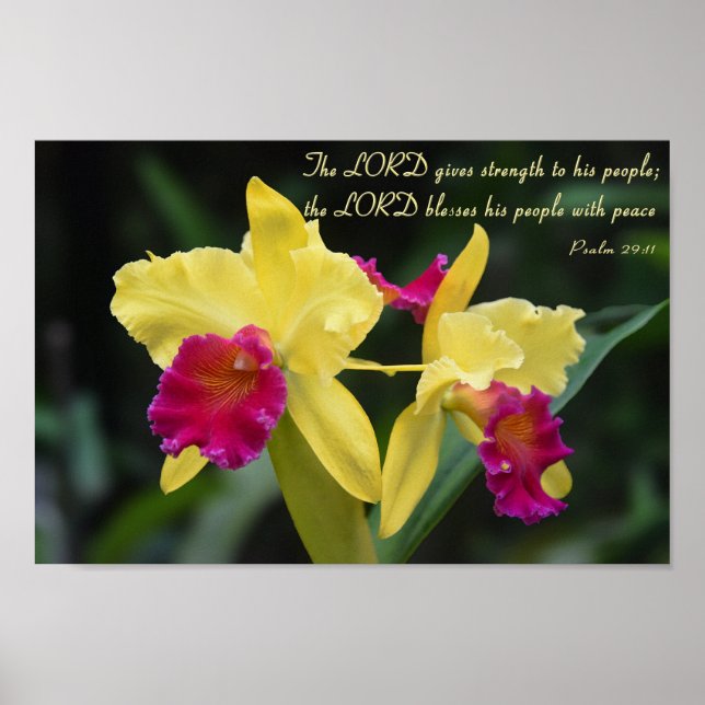 Psalm 29:11 Christian Bible Verse Scripture Poster (Framsidan)