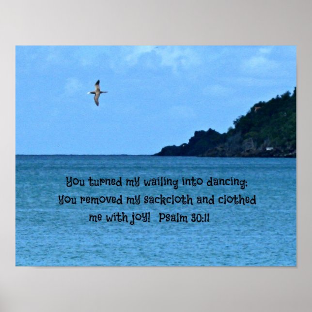 Psalm 30:11 poster (Framsidan)