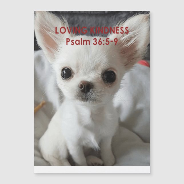 Psalm 36 Chihuahua-inbjudningar Magnetisk Inbjudningskort (Framsida)