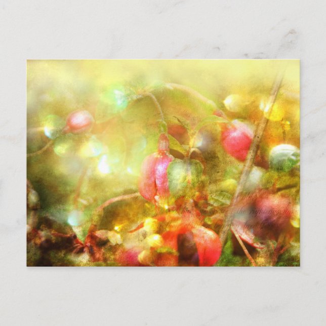 Psalm 37 vykort (Framsida)