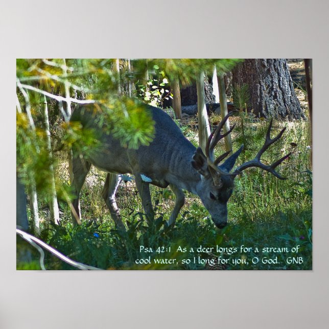 Psalm 42:1 poster (Framsidan)