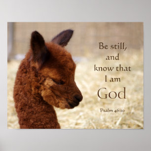 Psalm 46:10 Alpaca Poster