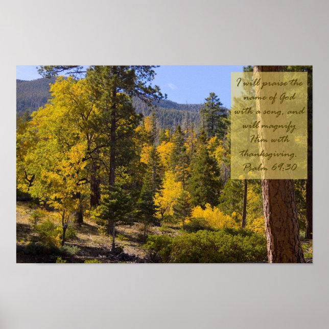 Psalm 69:30 Poster (Framsidan)