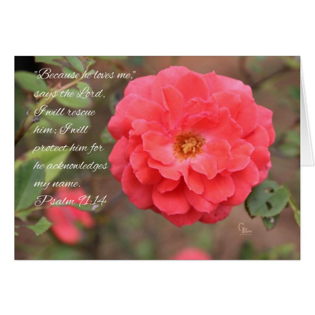 Psalm 91:14 Peachy Rosa ros-kort Hälsningskort (Framsidan Horizontal)