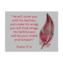 Psalm 91:4 Fjädrar med bibelns vykort