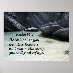 Psalm 91:4 Han täcker dig med hans fjädrar Poster