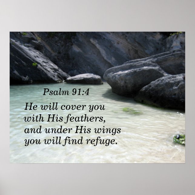 Psalm 91:4 Han täcker dig med hans fjädrar Poster (Framsidan)
