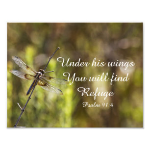 Psalm 91:4 med dragonfly fototryck